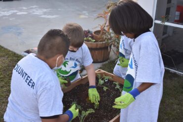 A group of volunteers for Keep Tampa Beautiful