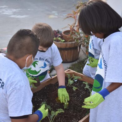 A group of volunteers for Keep Tampa Beautiful