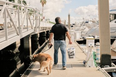 sunny day on the docks