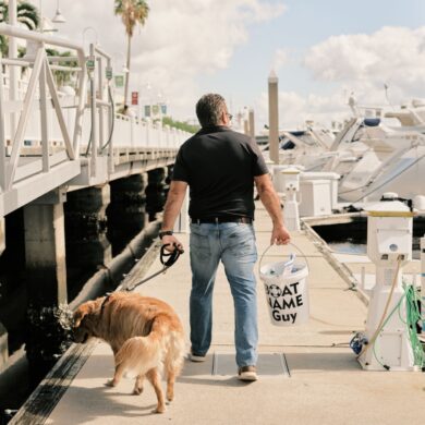 sunny day on the docks