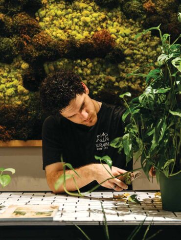 a person cutting a plant