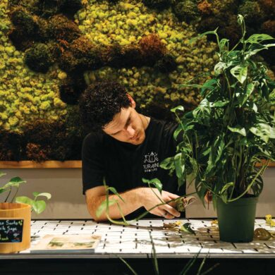 a person cutting a plant