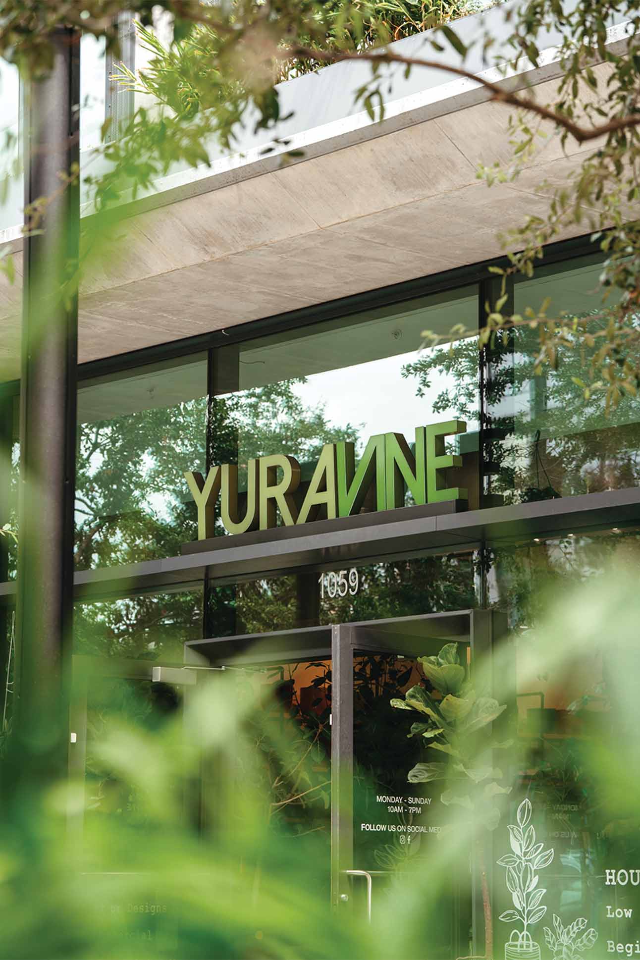 The Artful Evolution of Yura Vine Brothers CURRENT