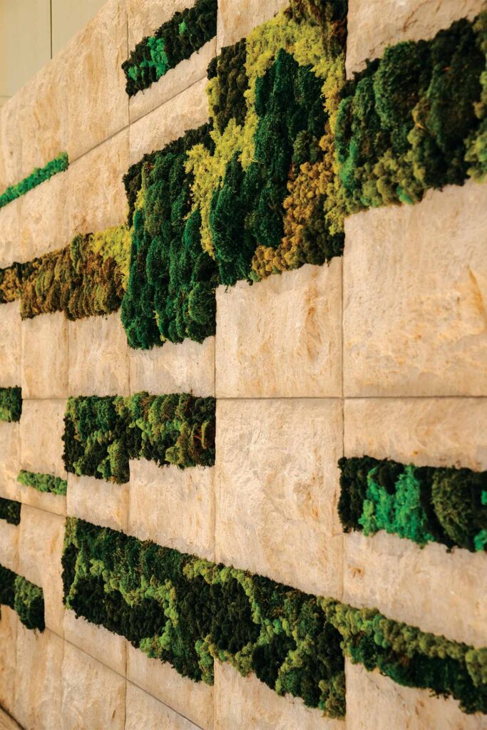 a wall with plants on it