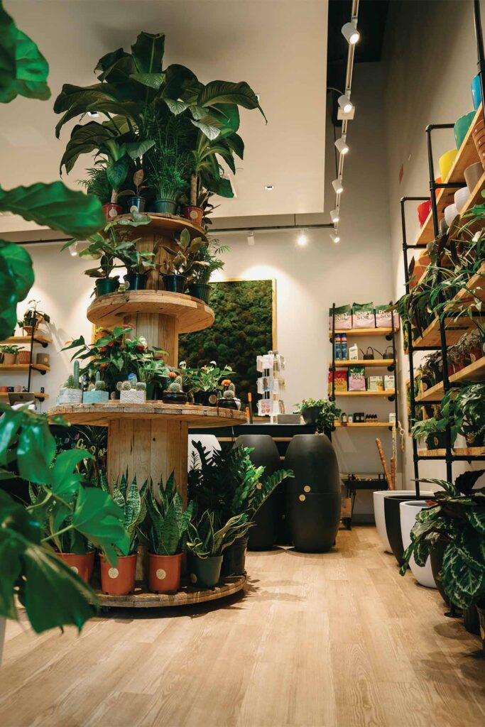a room with plants on shelves